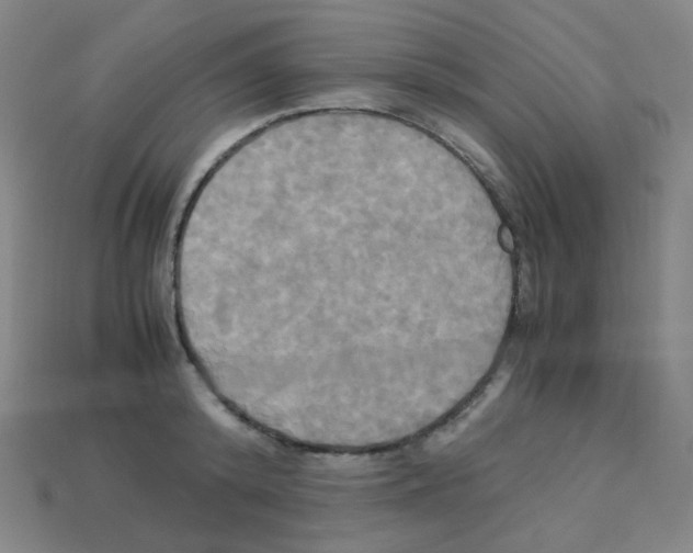 X0000113250800200910221120