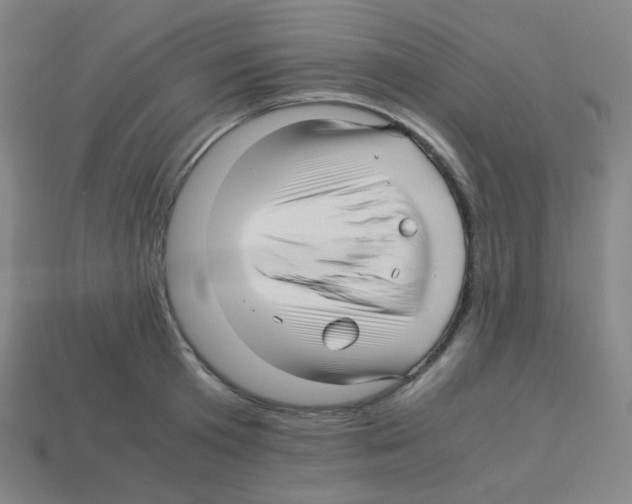 X0000113250801200910221120