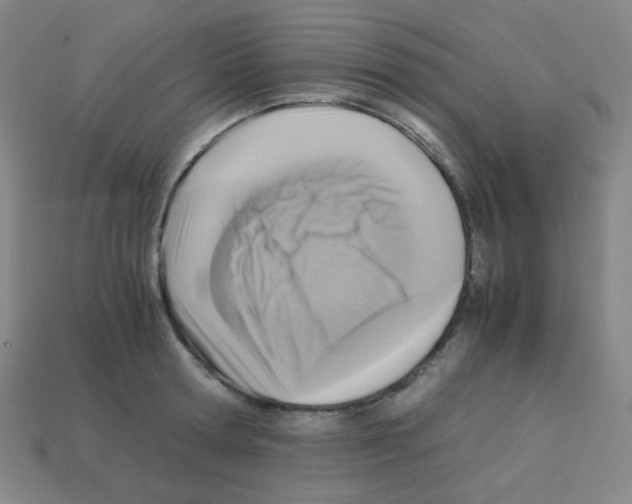 X0000113250802200910221120