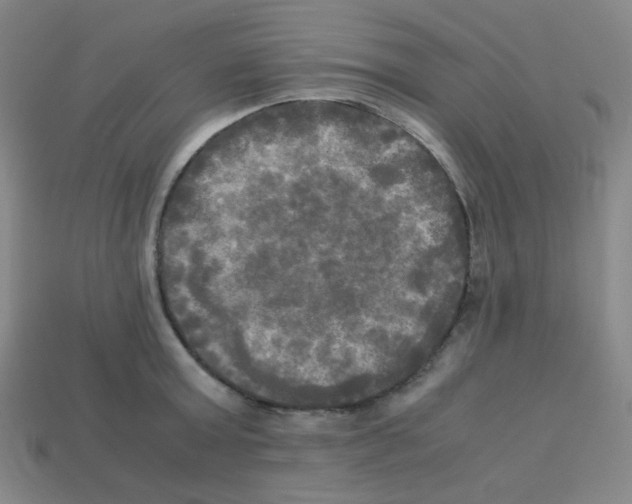 X0000113250803200910221120