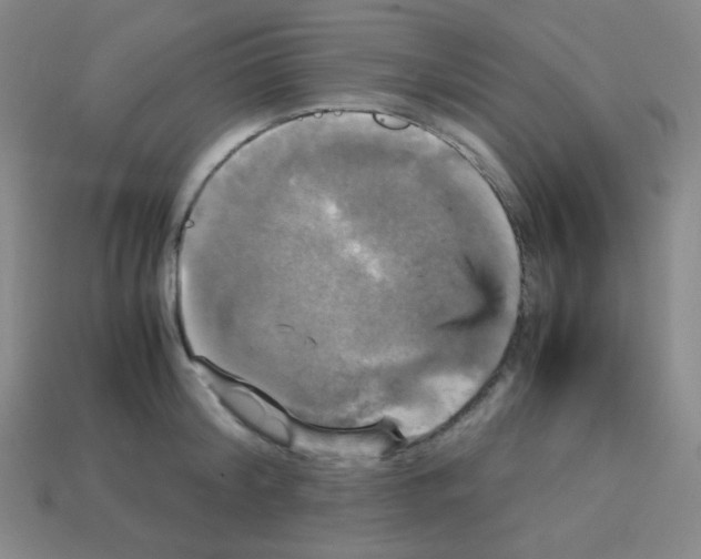 X0000113250804200910221120