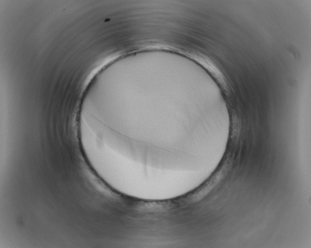 X0000113250806200910221120