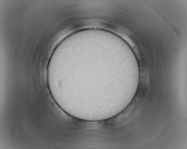 X0000113250807200910221120