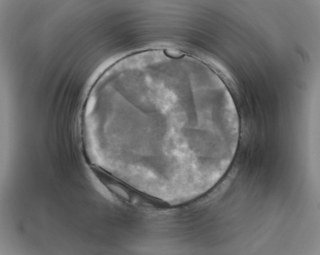 X0000113250808200910221120