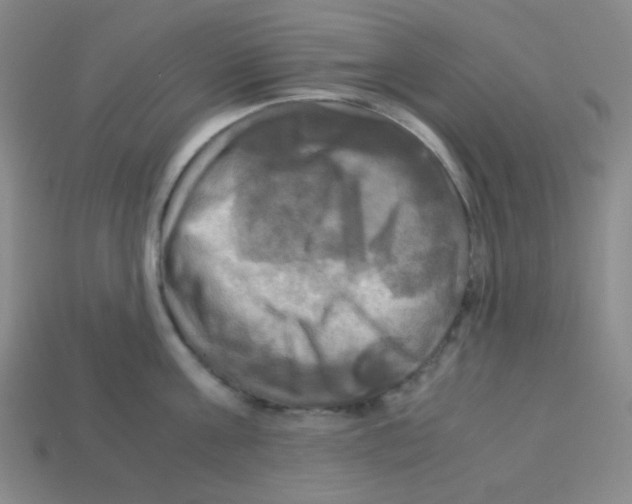 X0000113250811200910221120