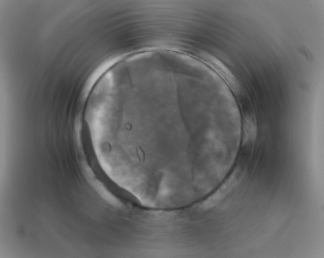 X0000113250812200910221120