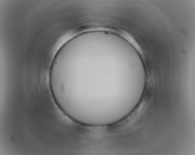 X0000113250813200910221120