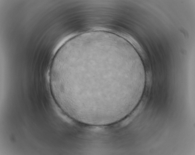 X0000113250814200910221120