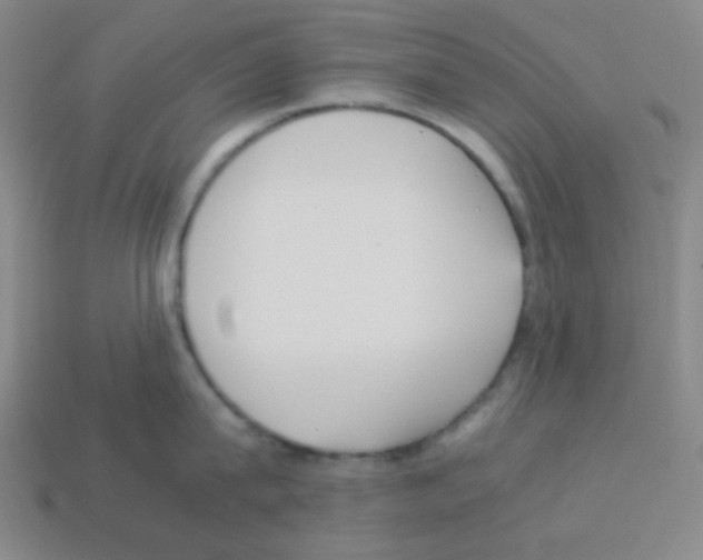 X0000113250815200910221120