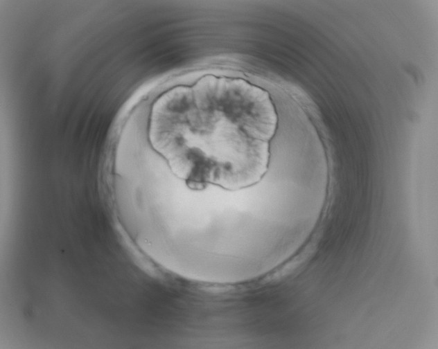 X0000113250816200910221120