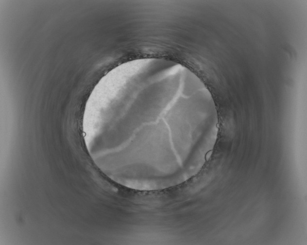 X0000113250817200910221119