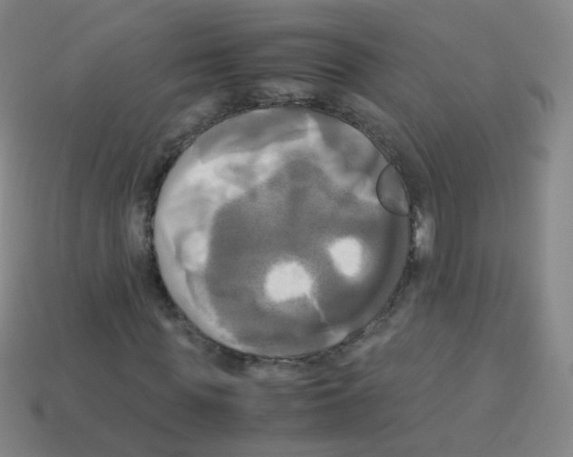 X0000113250819200910221119