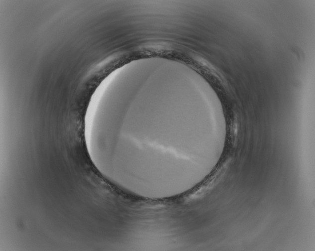 X0000113250822200910221119