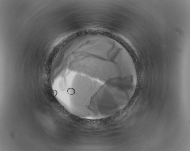 X0000113250823200910221119