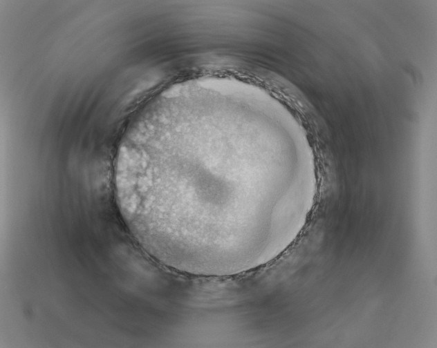 X0000113250824200910221119