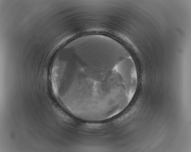 X0000113250825200910221119