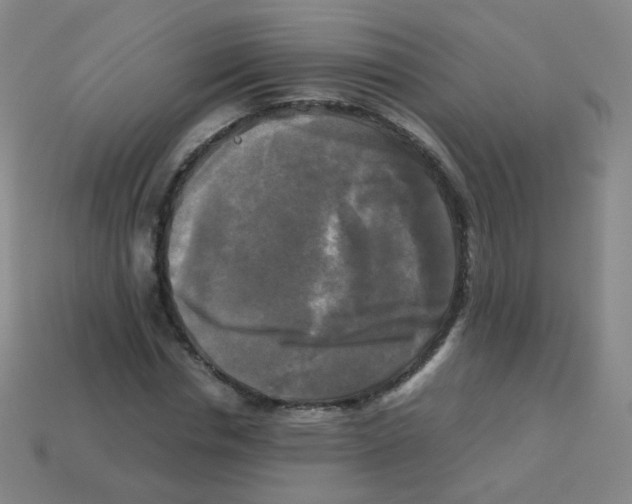 X0000113250826200910221119