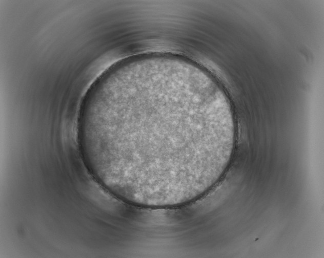 X0000113250828200910221119