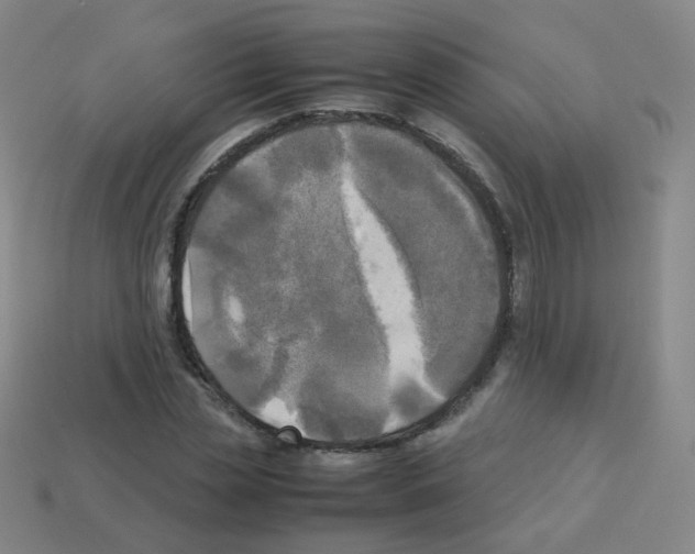 X0000113250829200910221119