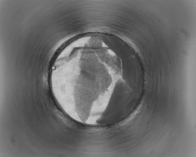 X0000113250830200910221119