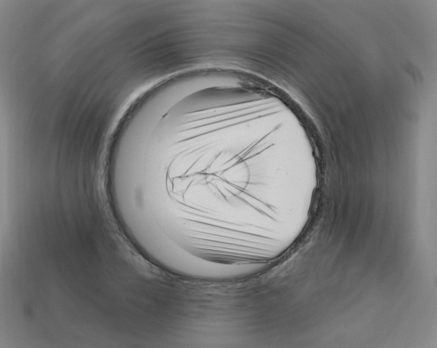 X0000113250832200910221119