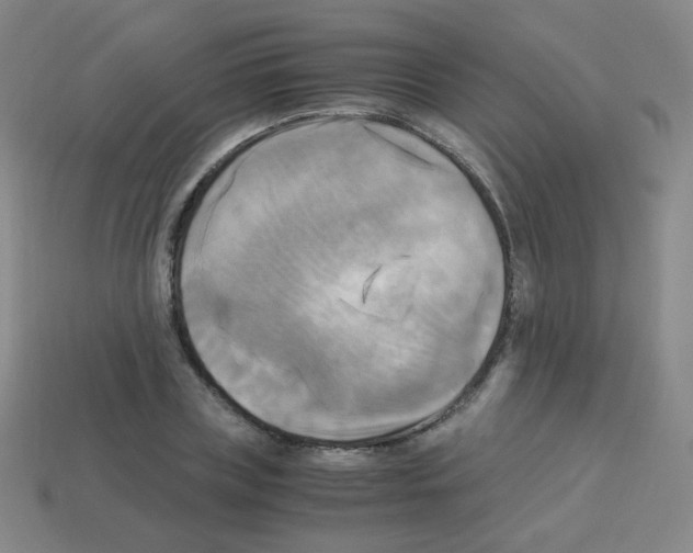 X0000113250835200910221119