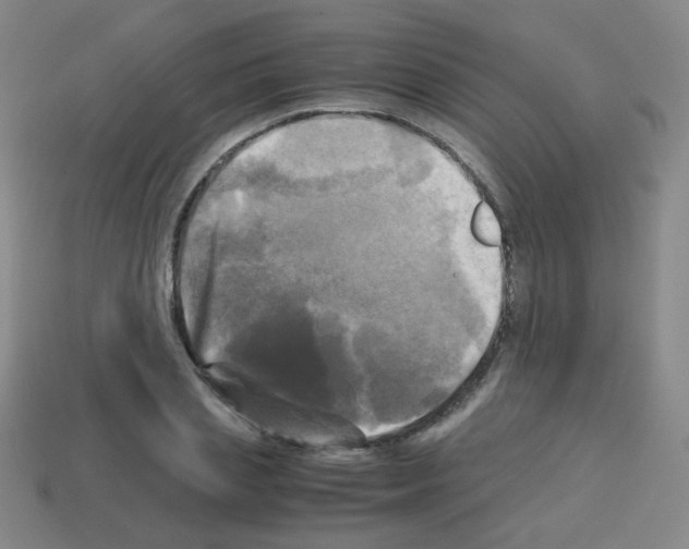 X0000113250837200910221119