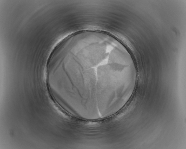 X0000113250839200910221119