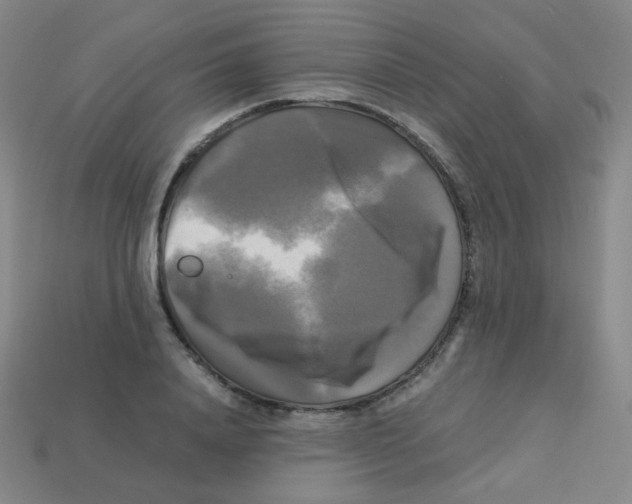 X0000113250840200910221119