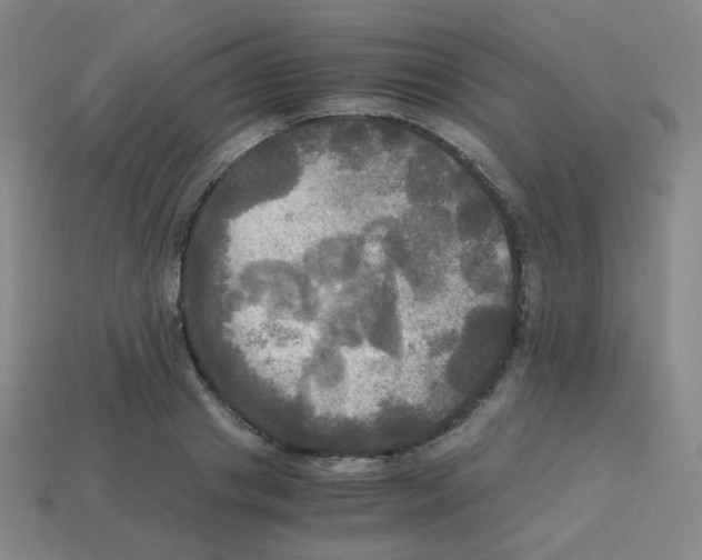 X0000113250841200910221119