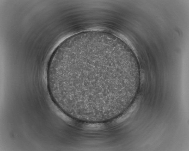 X0000113250843200910221119