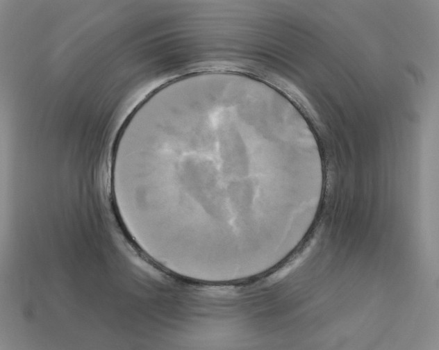 X0000113250844200910221119