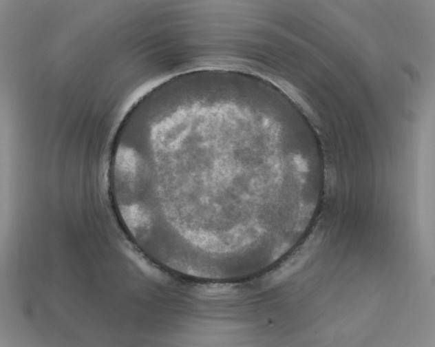 X0000113250846200910221119