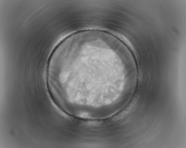 X0000113250847200910221119