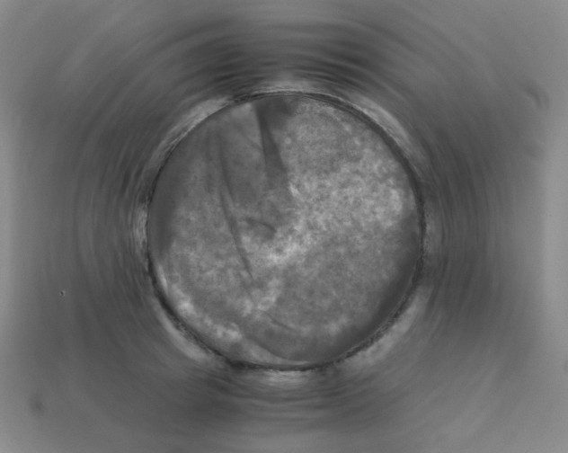 X0000113250849200910221119