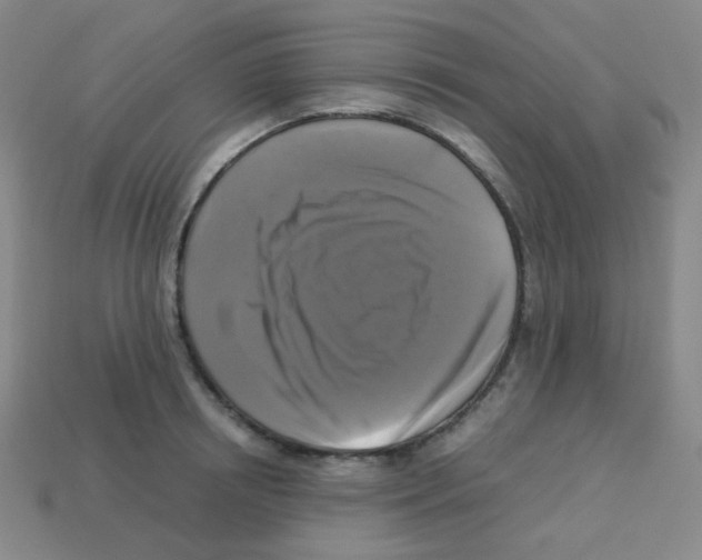 X0000113250850200910221120