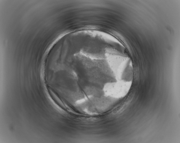 X0000113250851200910221120