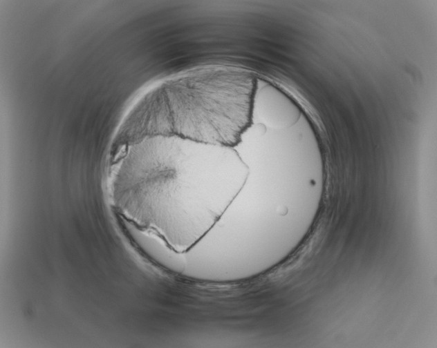 X0000113250853200910221120