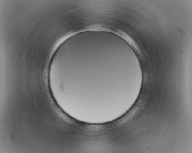 X0000113250854200910221120