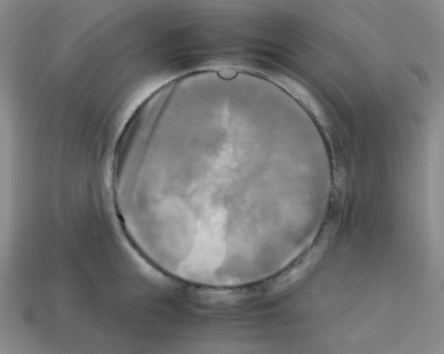 X0000113250855200910221120