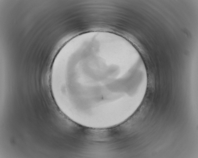 X0000113250856200910221120