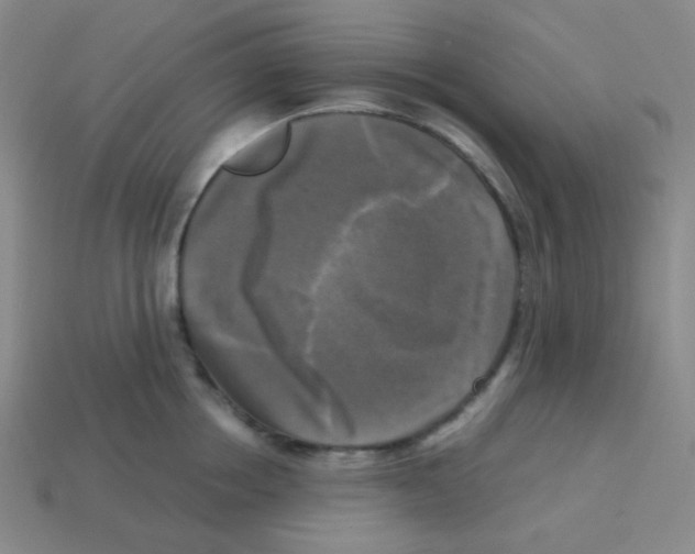 X0000113250858200910221120