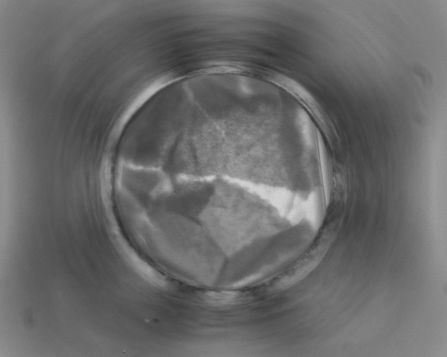 X0000113250859200910221120