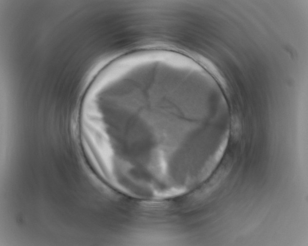 X0000113250863200910221120