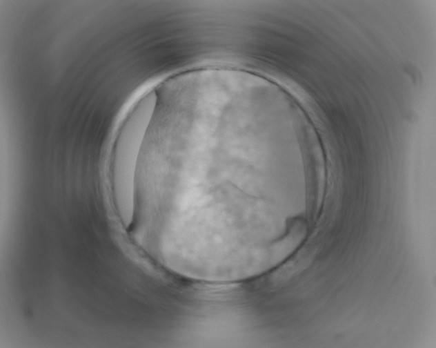 X0000113250864200910221120