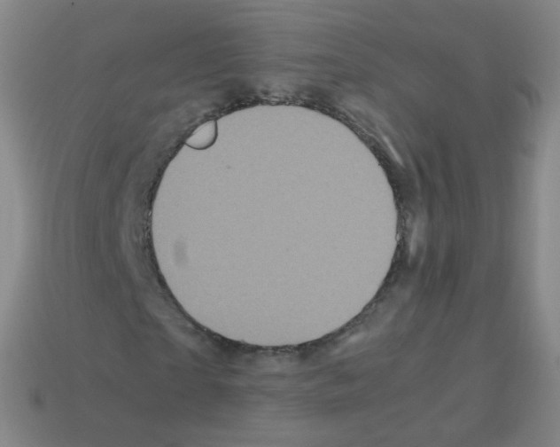 X0000113250865200910221119