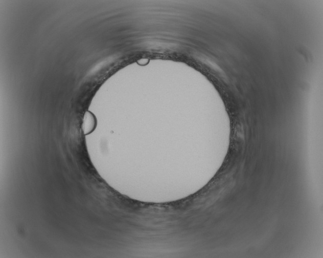 X0000113250869200910221119