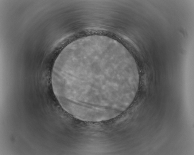 X0000113250870200910221119