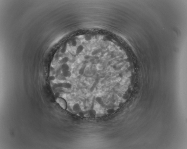 X0000113250871200910221119