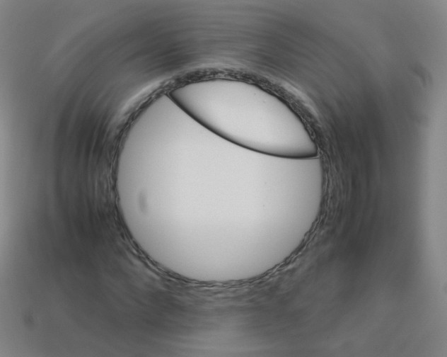 X0000113250872200910221119